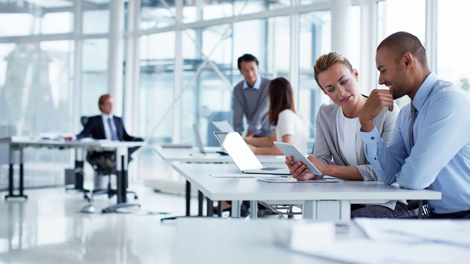 Decisiones Basadas en Datos: Impulsando la Inteligencia Organizacional